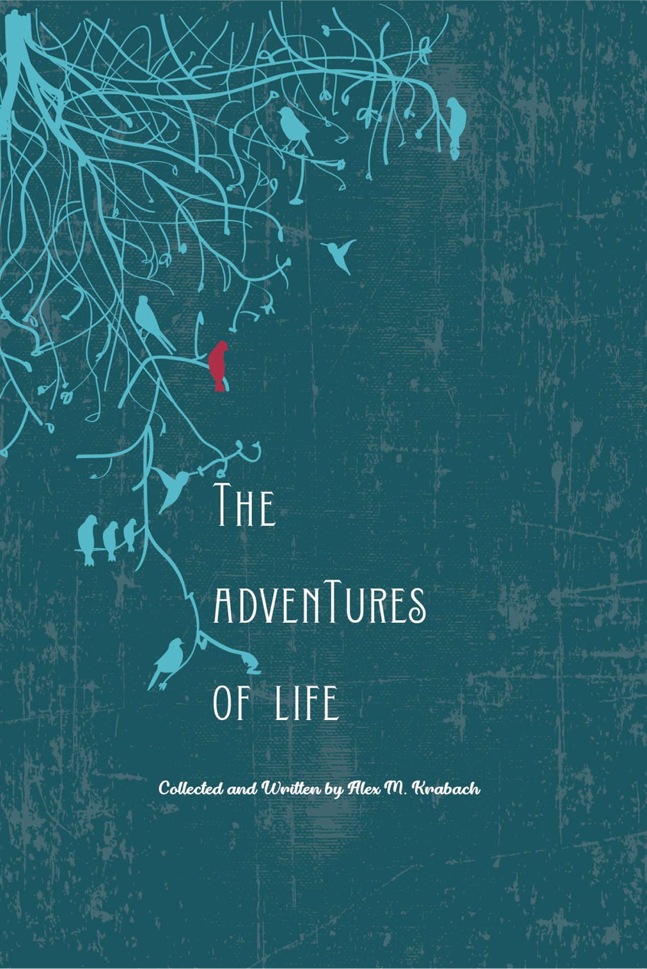 The Adventures of Life cover